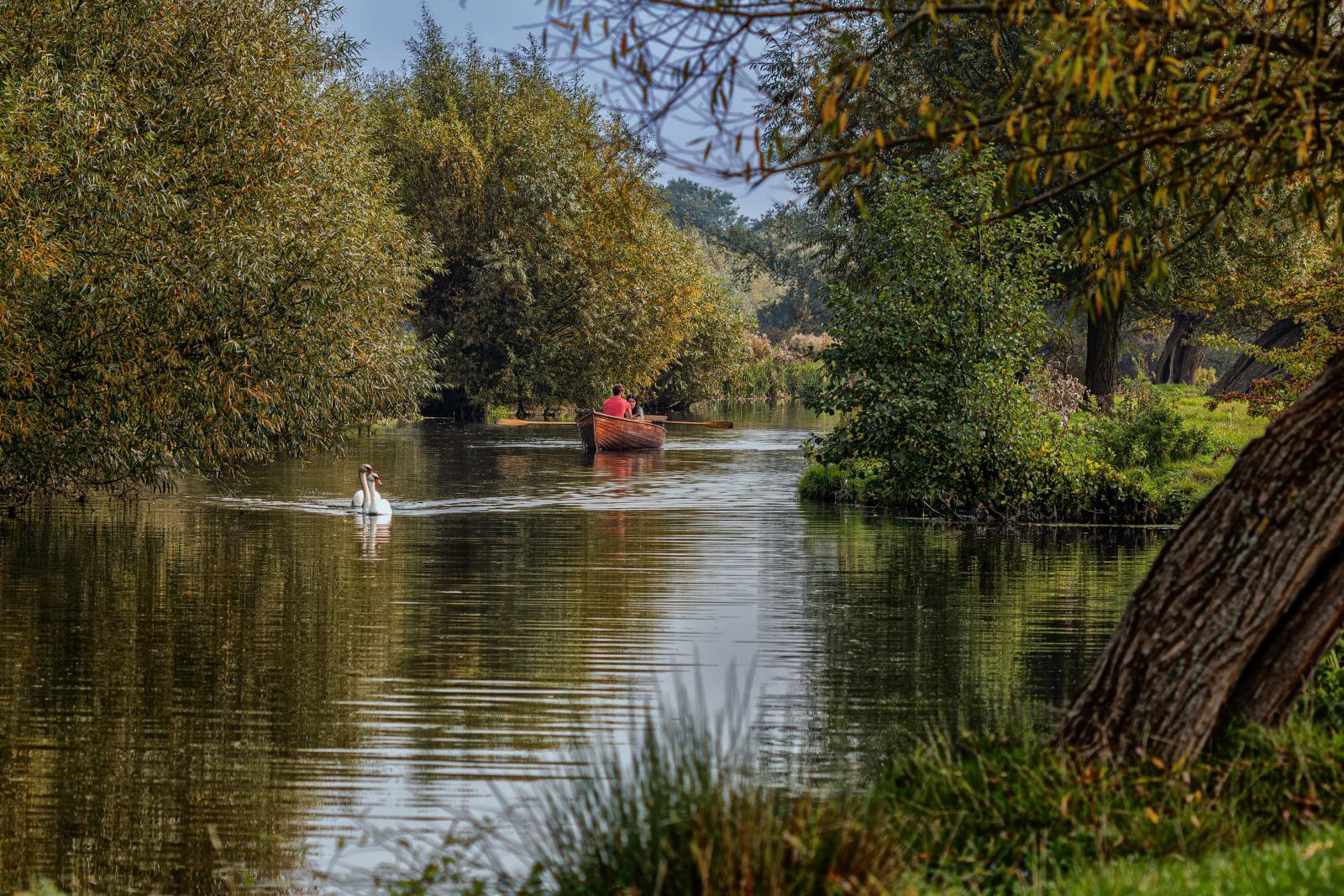 Messing about on the river - Peter Freeman