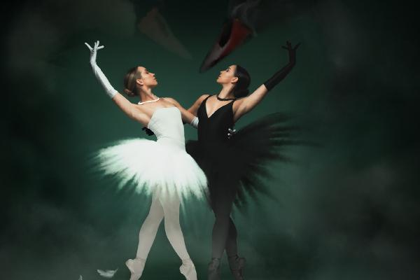 Painted Swans - Chris Pugh