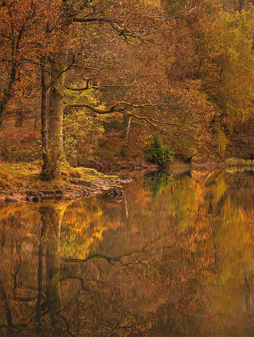 Still October at Yew Tree Tarn - Mark Kench