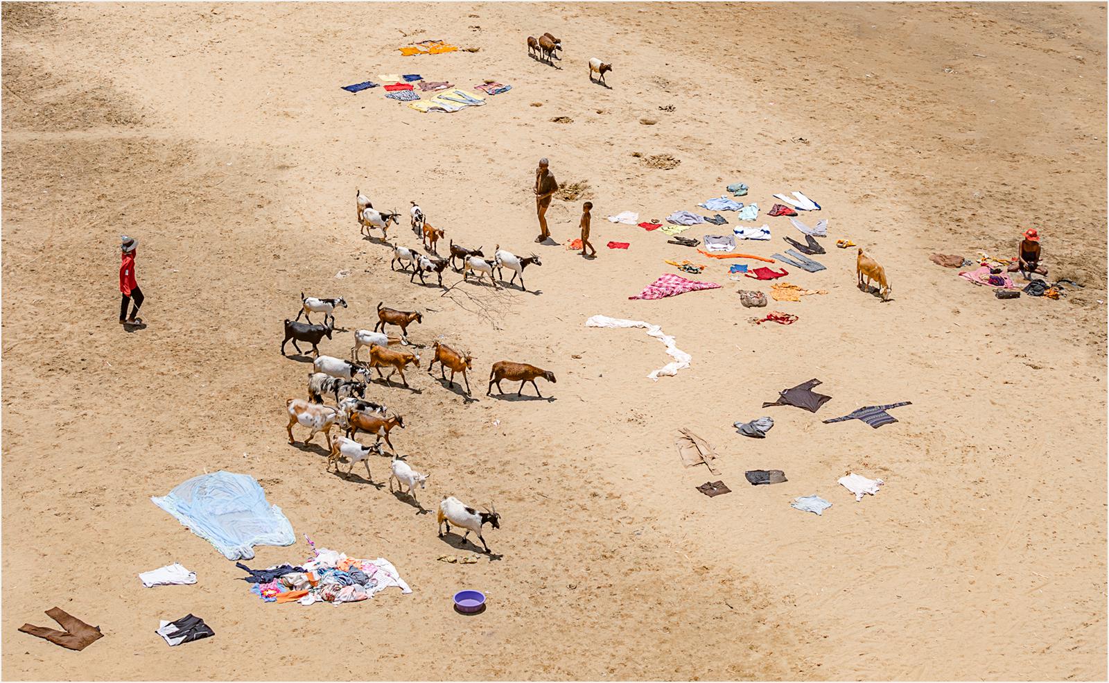 Washday and Goats - Chrissie Hart