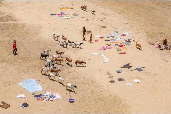 Washday and Goats - Chrissie Hart