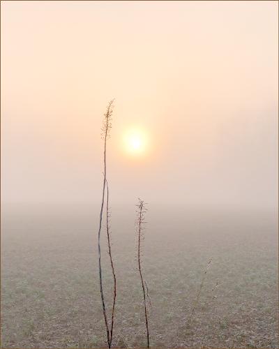 A Sense of Calm - Kate Jackson