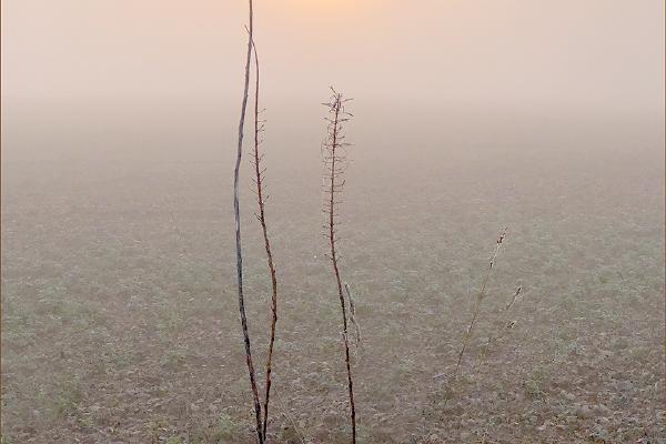 A Sense of Calm - Kate Jackson