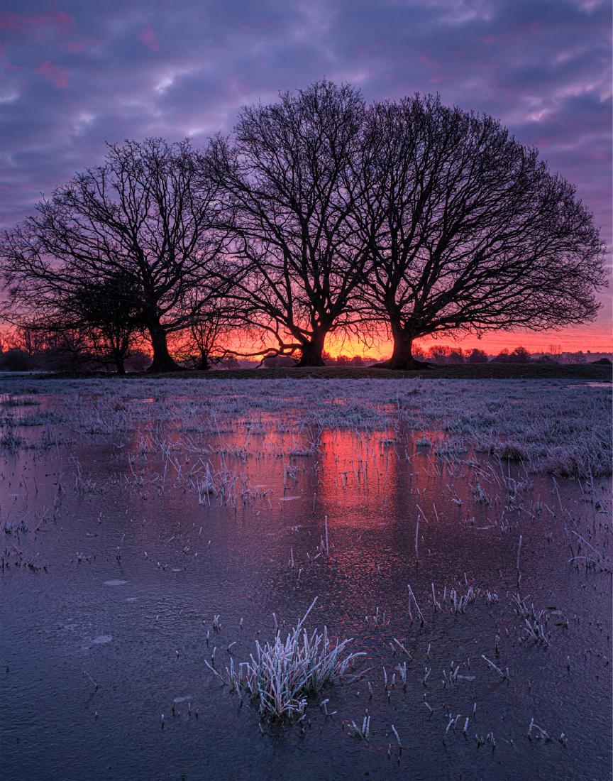 Frozen Sunrise - Mark Kench