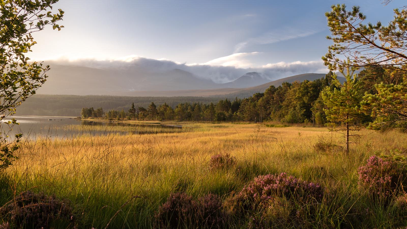Morning at Morlich Bay - Ian Carter