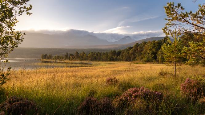 Morning at Morlich Bay - Ian Carter