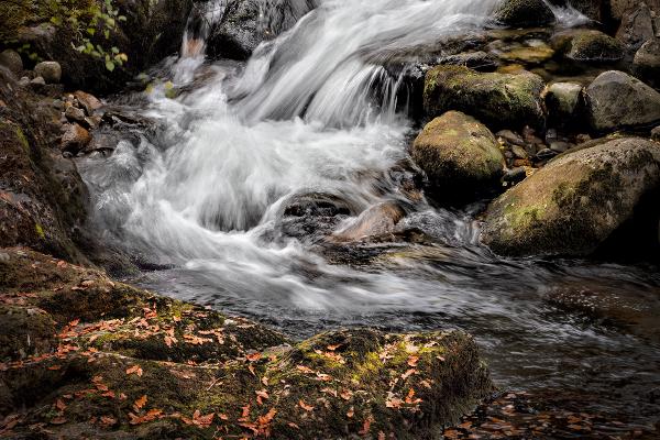 Mountain Stream, Glenmore - Chris Aldred
