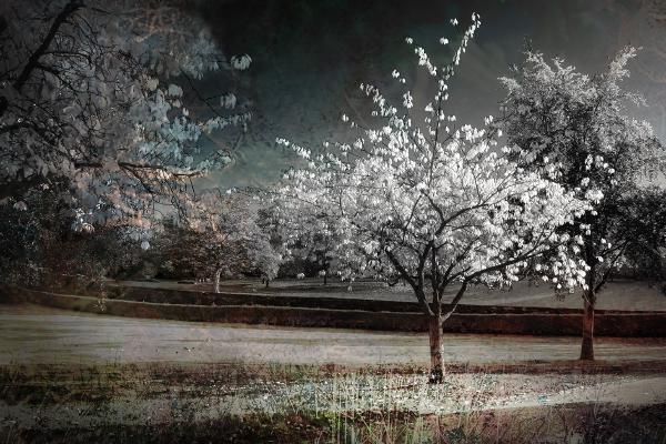 Standing out from the Crowd - Chrissie Alexander