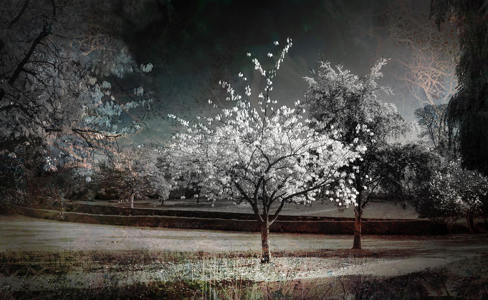 Standing out from the Crowd - Chrissie Alexander