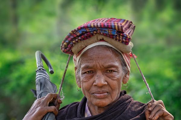 Tea Picker Arriving for Work - Kate Jackson