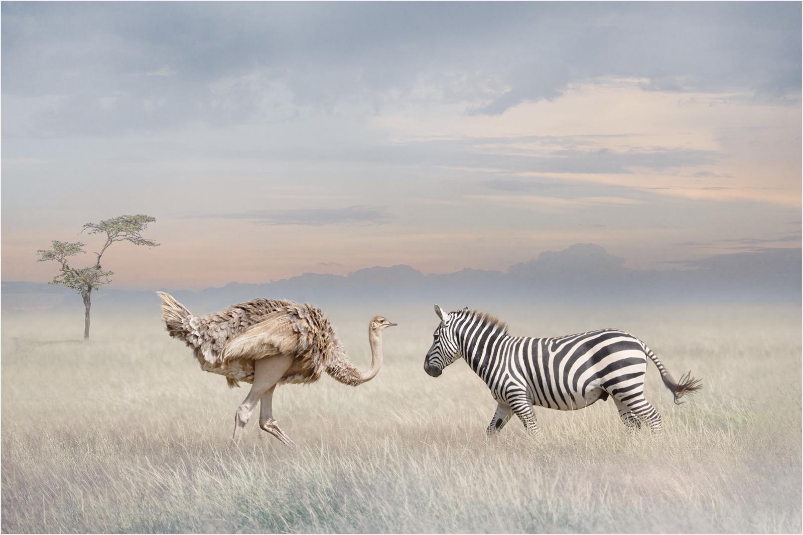 CHANCE ENCOUNTER - Chrissie Hart