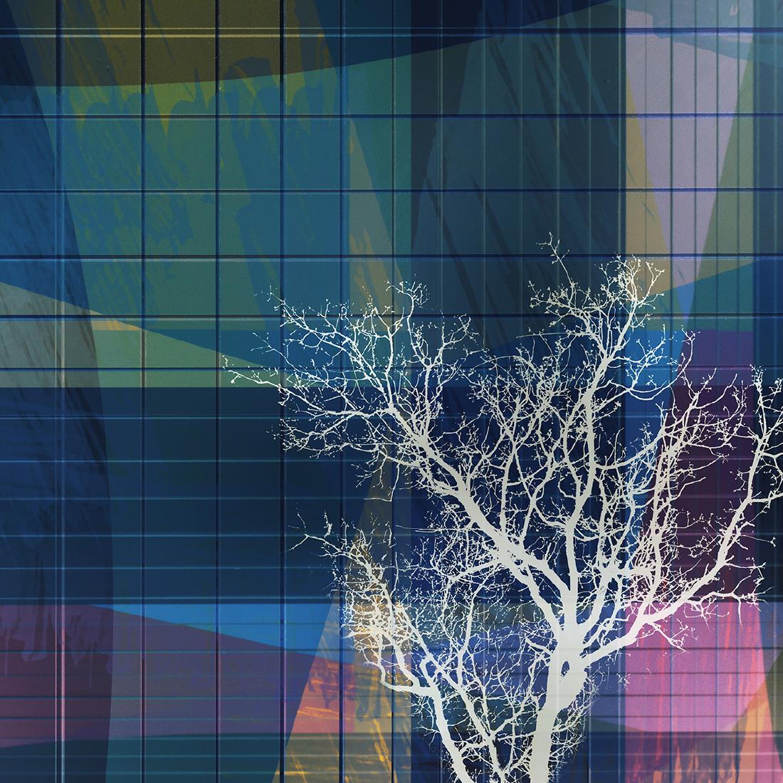 Lone Tree in the City - Chrissie Alexander