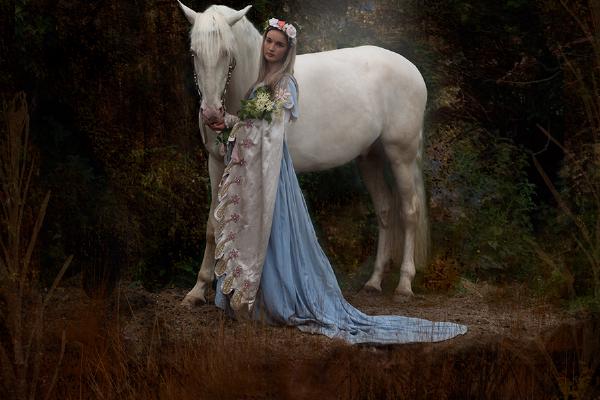 Moonlit Companions - Nesta James