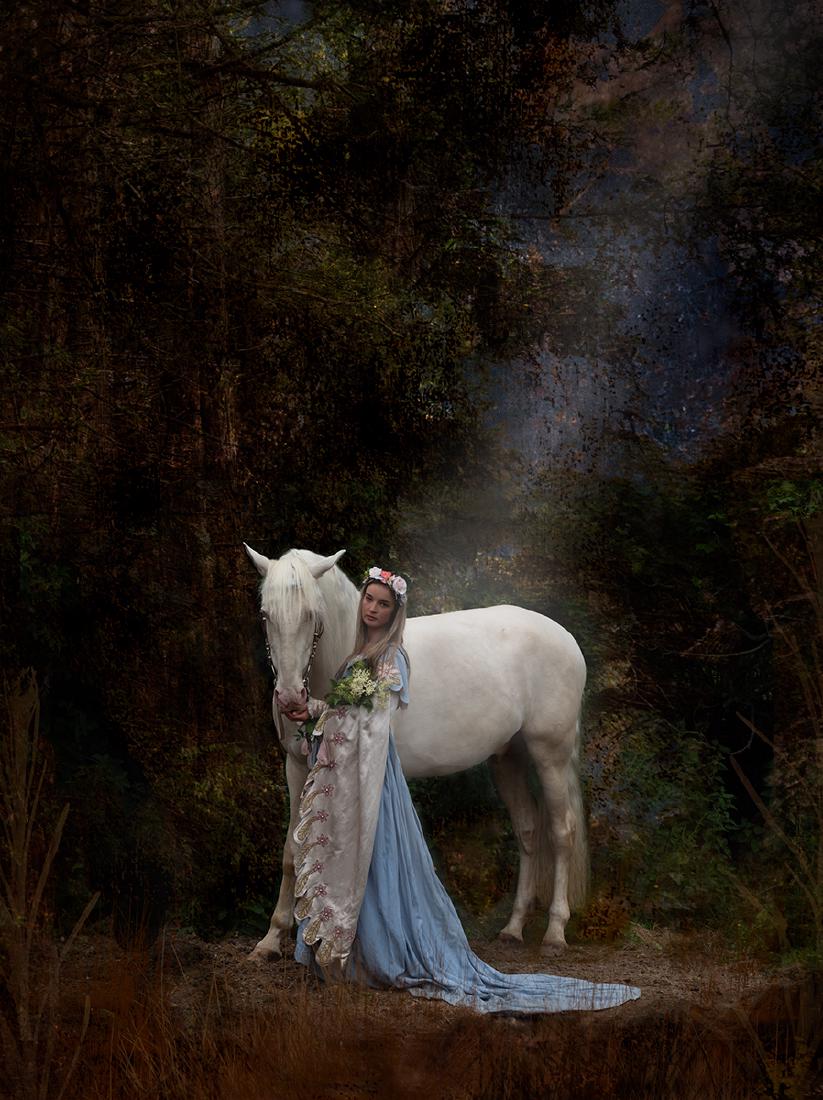 Moonlit Companions - Nesta James