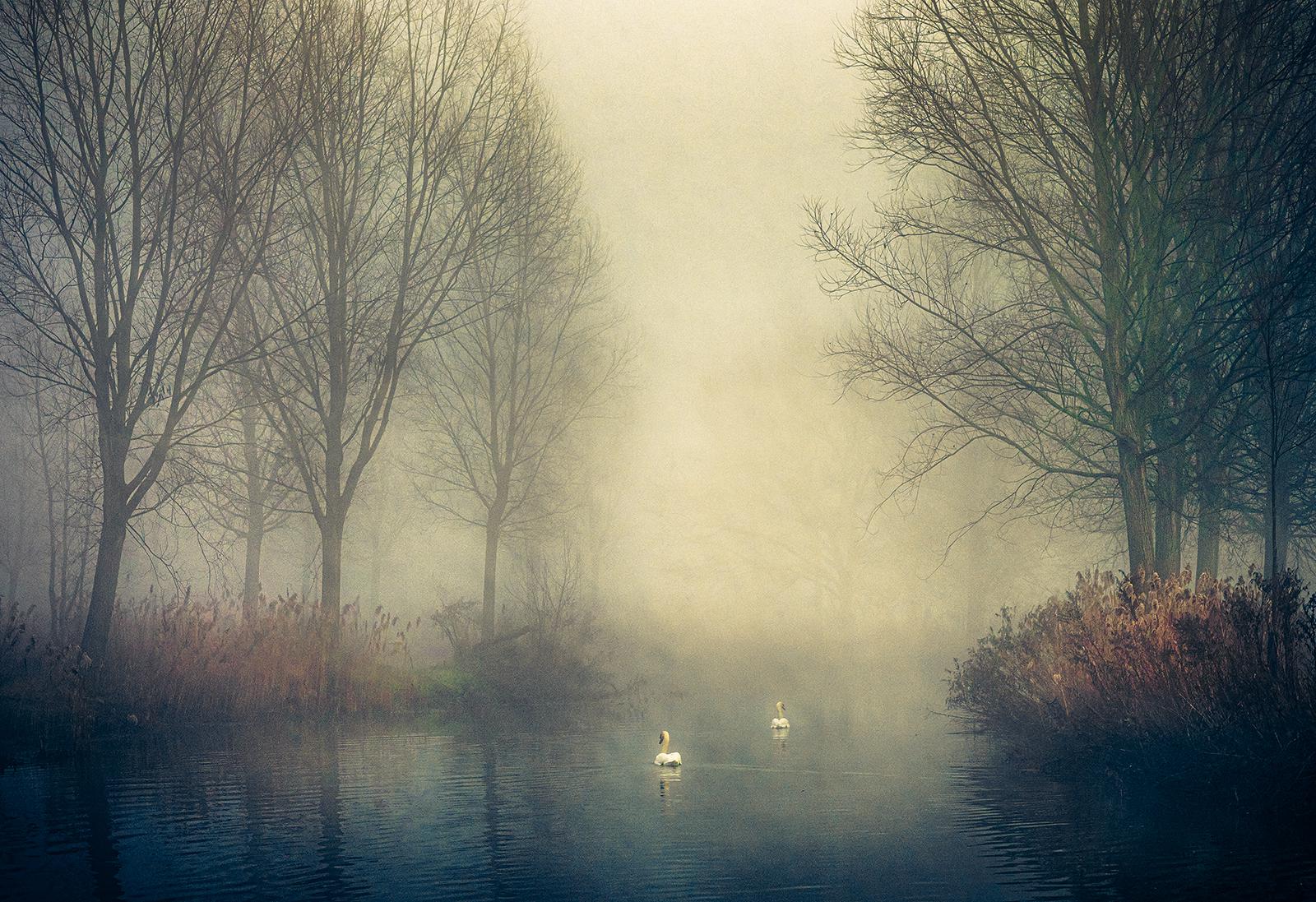 Towards The Light - Roy Essery