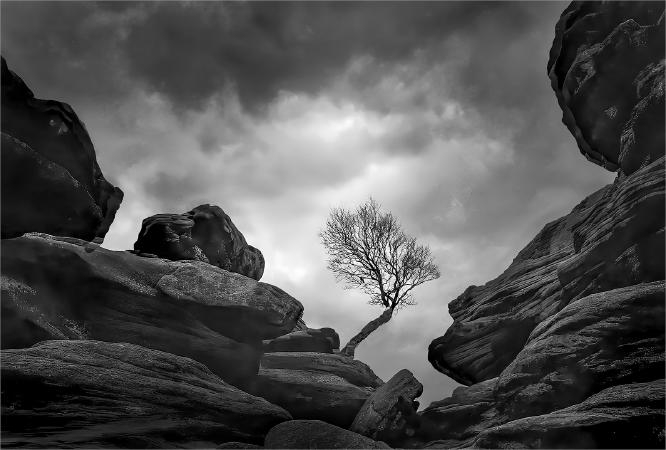 Brimham Rocks - Colin Westgate