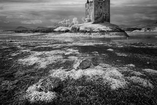 Castle Stalker - Chris Aldred