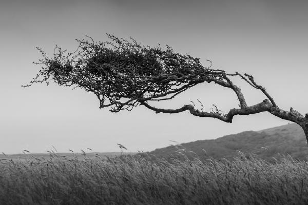 Fighting the Wind - Ian Carter