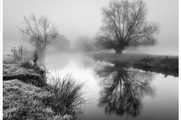 Misty Stour - Colin Brett
