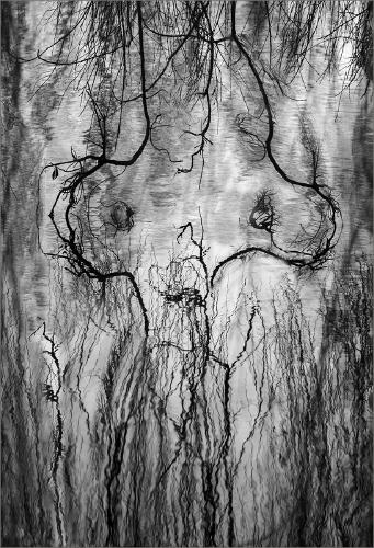 Reflecting on the Reflection - Kate Jackson