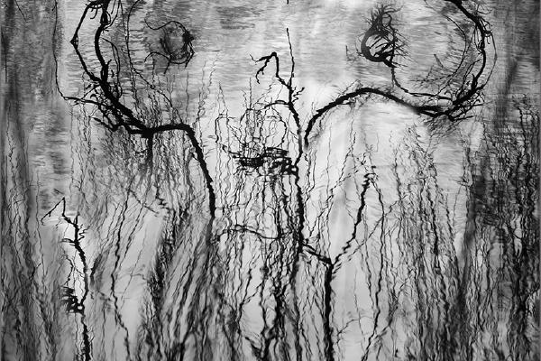 Reflecting on the Reflection - Kate Jackson