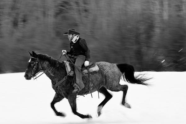 Rodeo cowboy in full gallop - Derek Howes