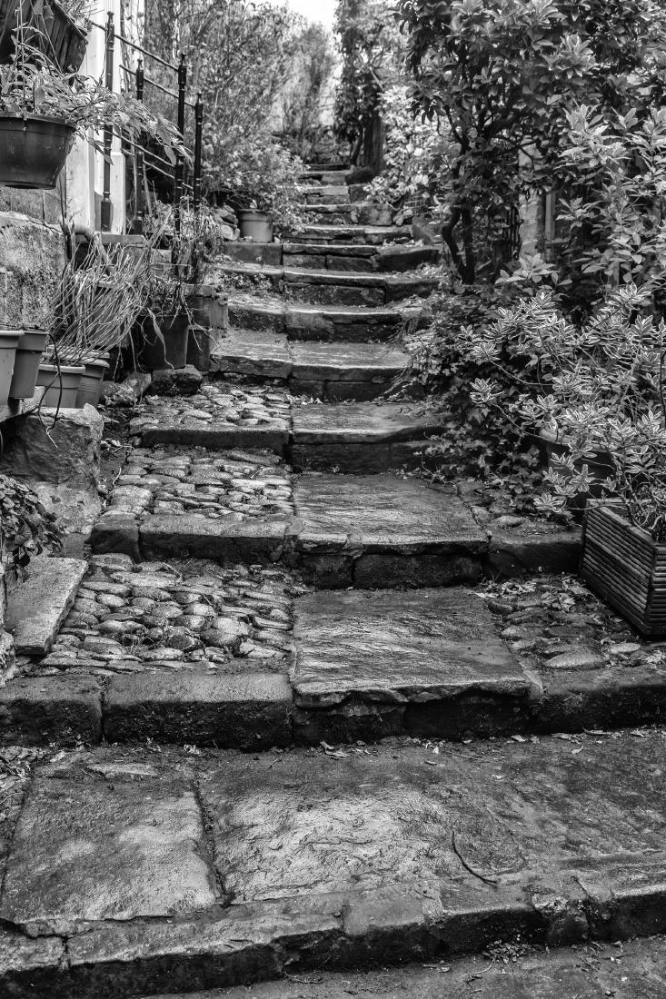 A step up - Peter Freeman