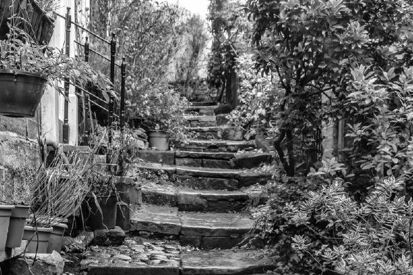 A step up - Peter Freeman