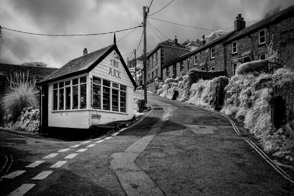 The Ark - Chris Aldred