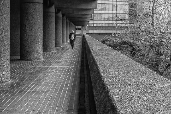 The Lone Walker - Peter Freeman