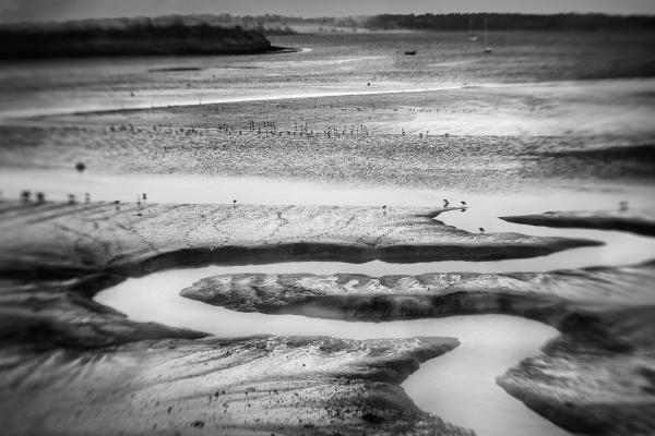 LOW TIDE AT MANNINGTREE (1) - Roy Essery