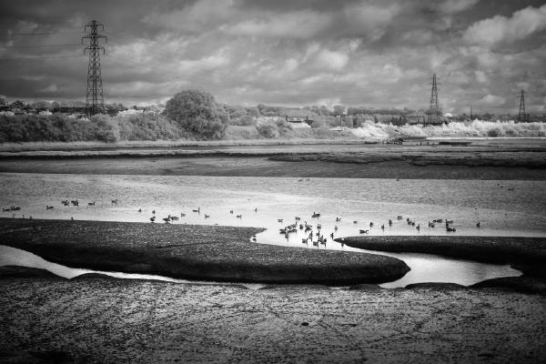 LOW TIDE AT MANNINGTREE (2) - Roy Essery