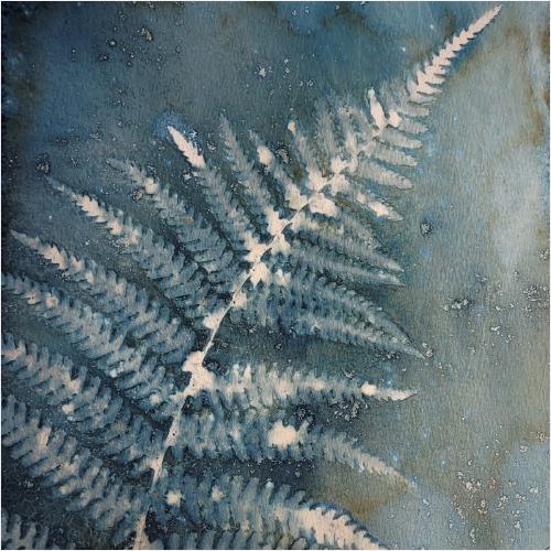 Wet Cyanotype (1) - Chrissie Hart