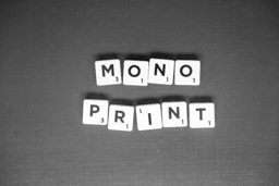 Monochrome Print League Competition (1st Round) - Appraisal by Jackie Gilman-Dace CPAGB BPE2*