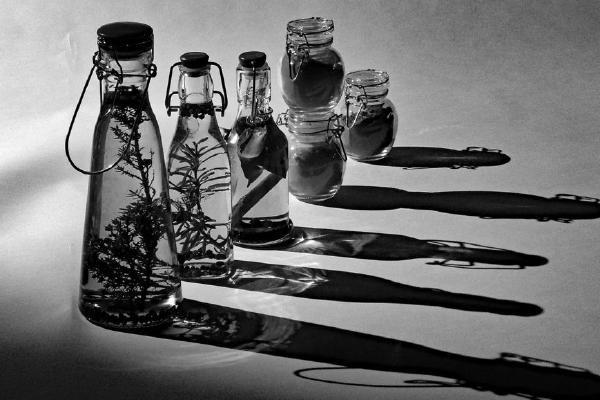 Bottles (%!s(<nil>)) - 