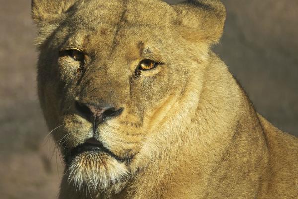 Eyeing up lunch (%!s(<nil>)) - 
