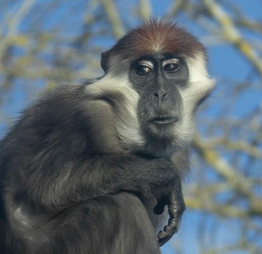 Is this my best side (%!s(<nil>)) -