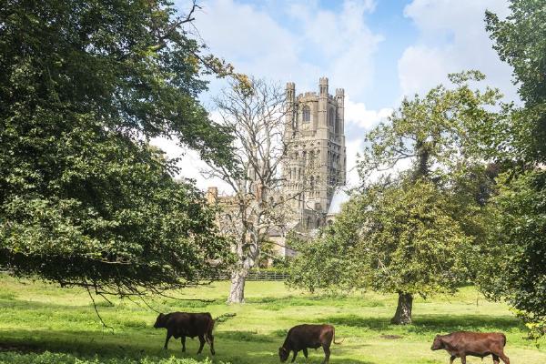 Pastoral Ely (%!s(<nil>)) - 