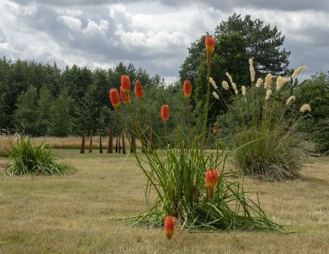 Three sets of spikes (%!s(<nil>)) -