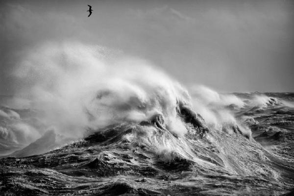 Stormy Sea (%!s(<nil>)) - 