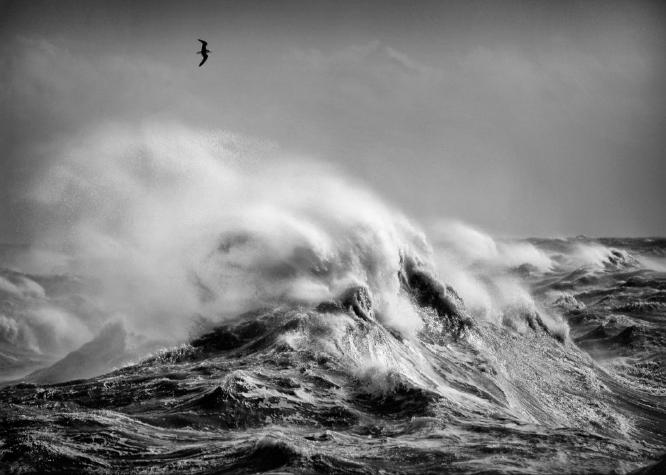 Stormy Sea (%!s(<nil>)) - 