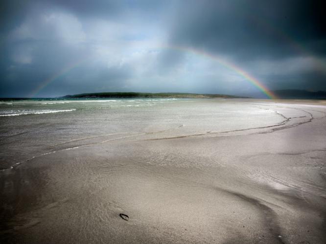 Sweet Donegal (%!s(<nil>)) - 