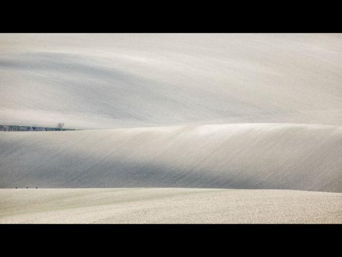 Therfield (%!s(<nil>)) - 