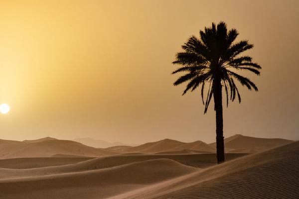 Sandstorm Brewing at Erg Chebbi (%!s(<nil>)) - 