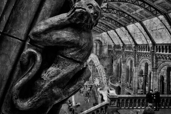 Monkey Business at the Natural History Museum (%!s(<nil>)) - 