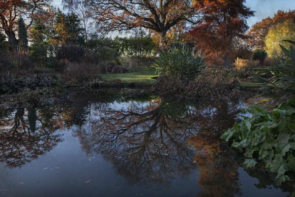 Pond Reflection (%!s(<nil>)) - 