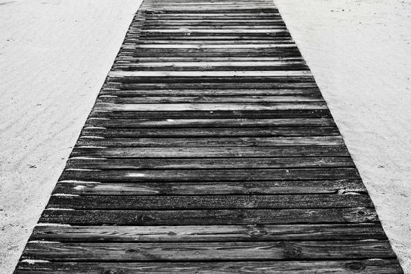 Boardwalk 2 Bins 1 Dog (%!s(<nil>)) - 
