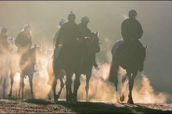 Early morning on the Gallops (%!s(<nil>)) - 