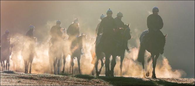 Early morning on the Gallops (%!s(<nil>)) - 