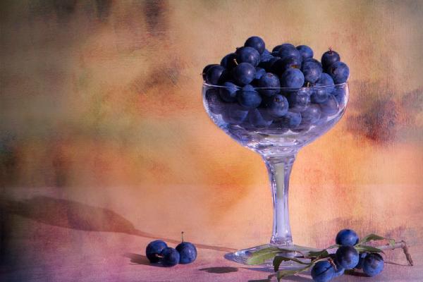 Sloe Gin (%!s(<nil>)) - 